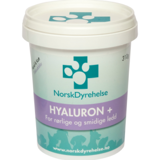 Hyaluron+ 310g