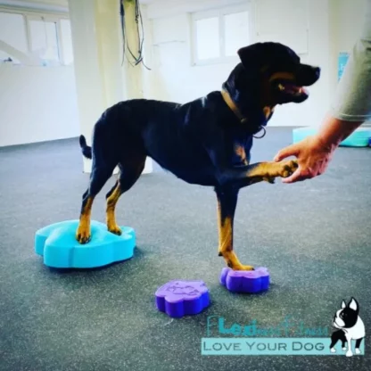 Flexiness toy paw disc, 1 stk - Bilde 3