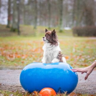 Dobbeltball/peanutball 50 cm