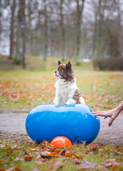 Dobbeltball/peanutball 50 cm
