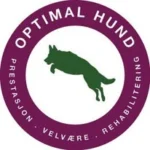 Optimal Hund